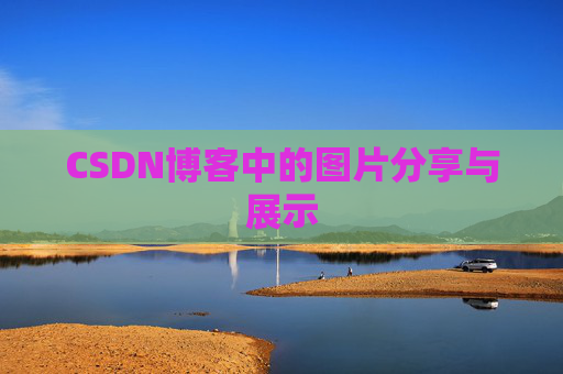 CSDN博客中的图片分享与展示